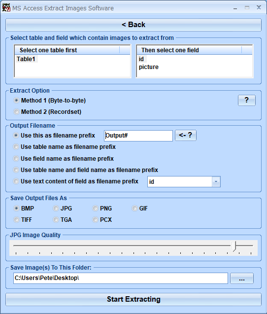 screenshot of ms-access-extract-images-software